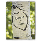 Sitting In A Tree Photo Canvas Wall Art